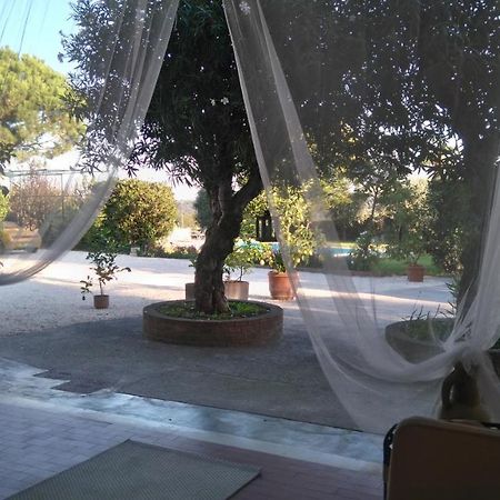 Il Gelso Di Barcuzzi Bed and Breakfast Lonato Buitenkant foto