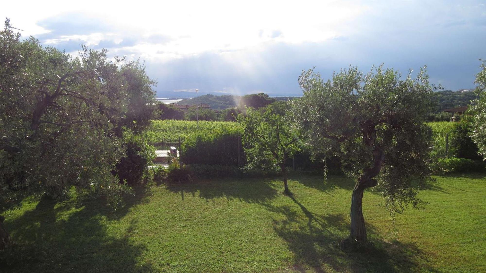 Il Gelso Di Barcuzzi Bed and Breakfast Lonato Buitenkant foto