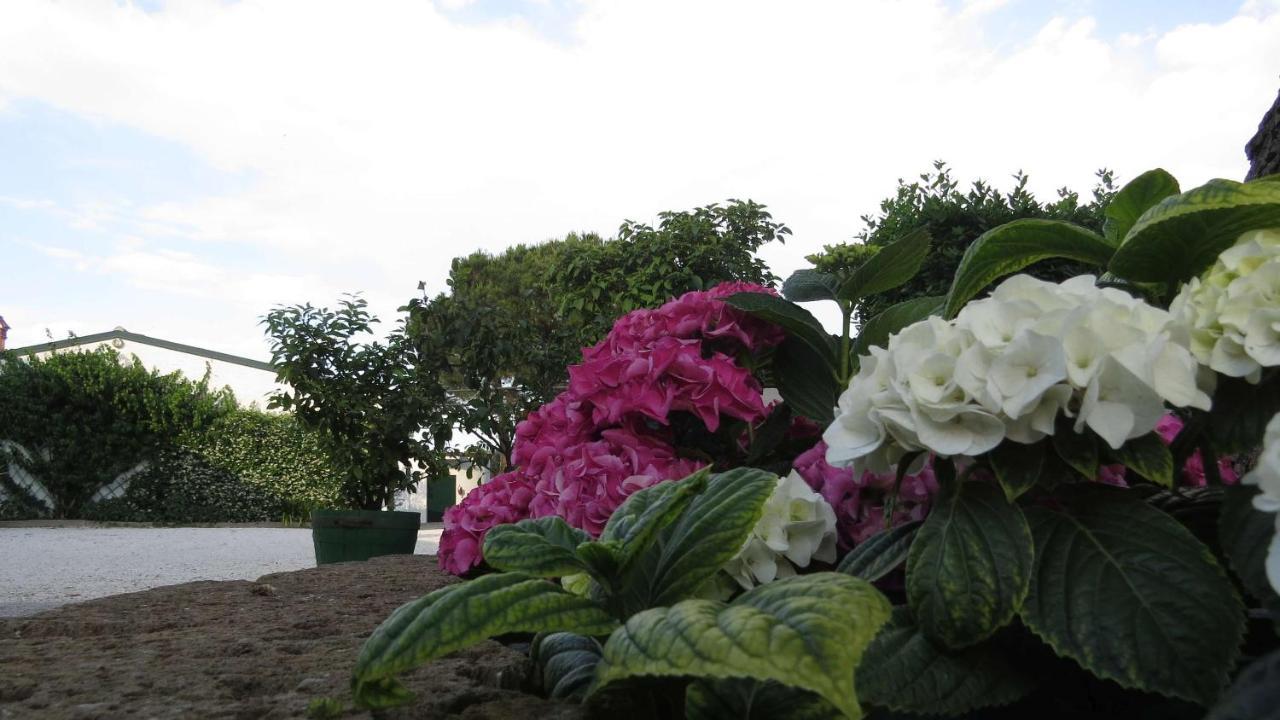 Il Gelso Di Barcuzzi Bed and Breakfast Lonato Buitenkant foto