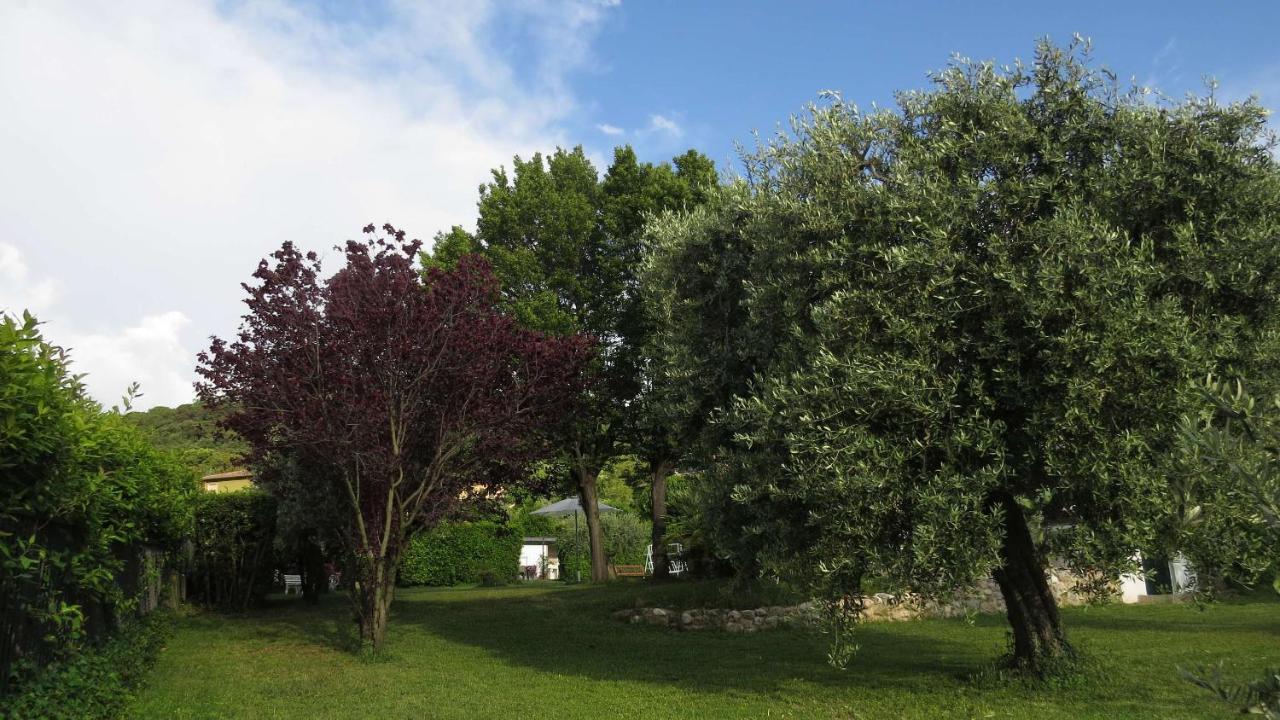 Il Gelso Di Barcuzzi Bed and Breakfast Lonato Buitenkant foto
