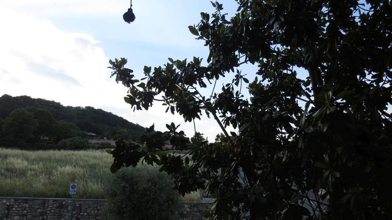 Il Gelso Di Barcuzzi Bed and Breakfast Lonato Buitenkant foto