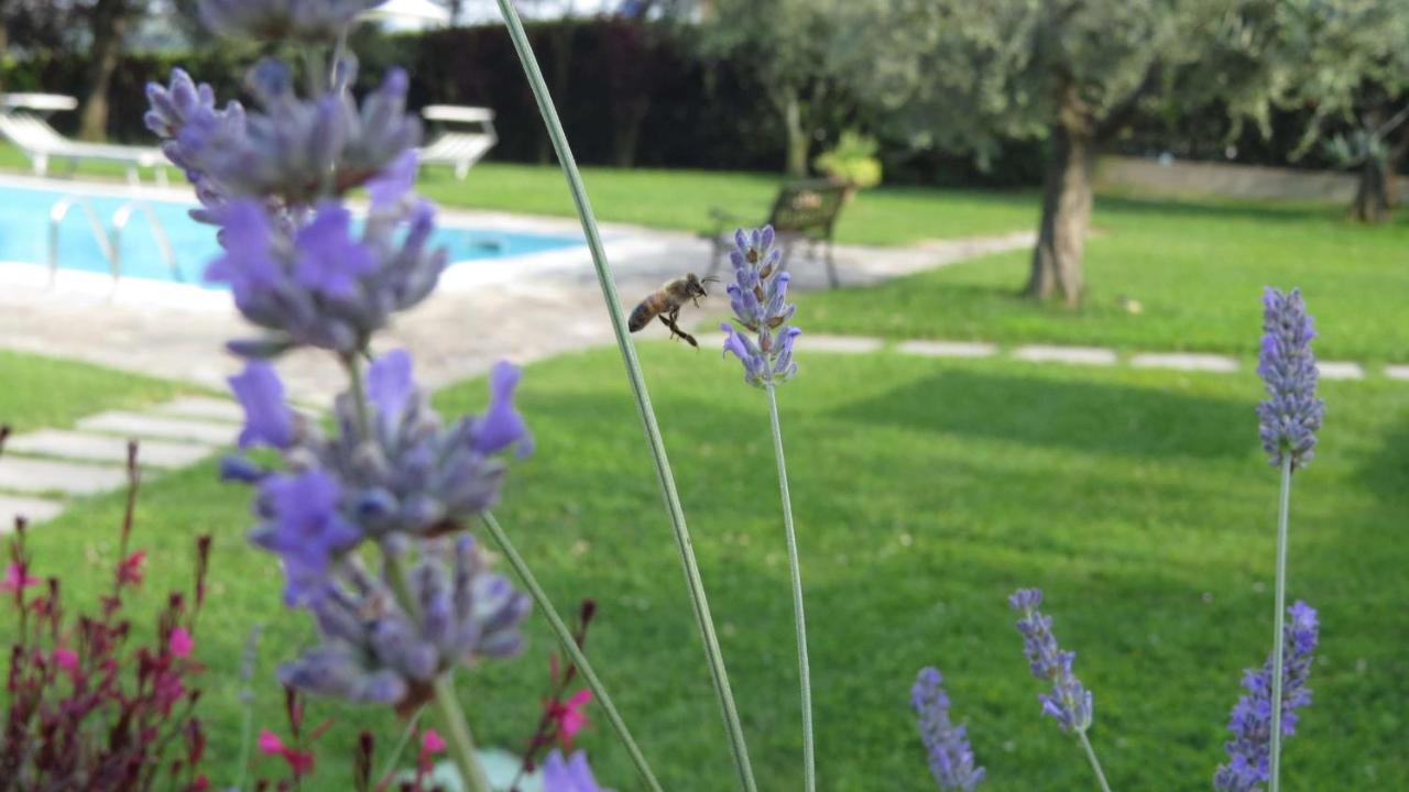 Il Gelso Di Barcuzzi Bed and Breakfast Lonato Buitenkant foto